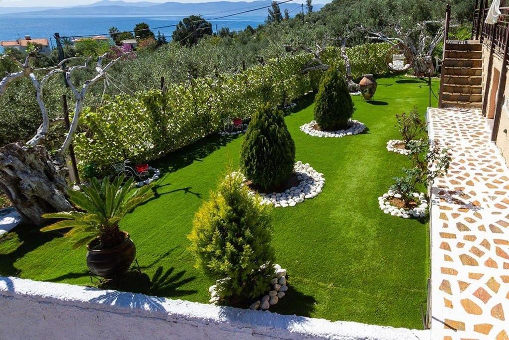 Cozy House With Amazing View! Apartment Loutra Edipsou (Evia)