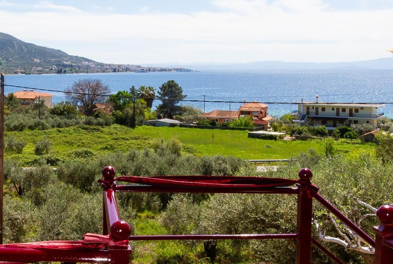 Apartment Cozy House With Amazing View!