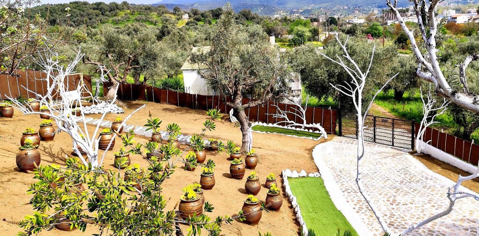 Cozy House With Amazing View! Apartment Loutra Edipsou (Evia)