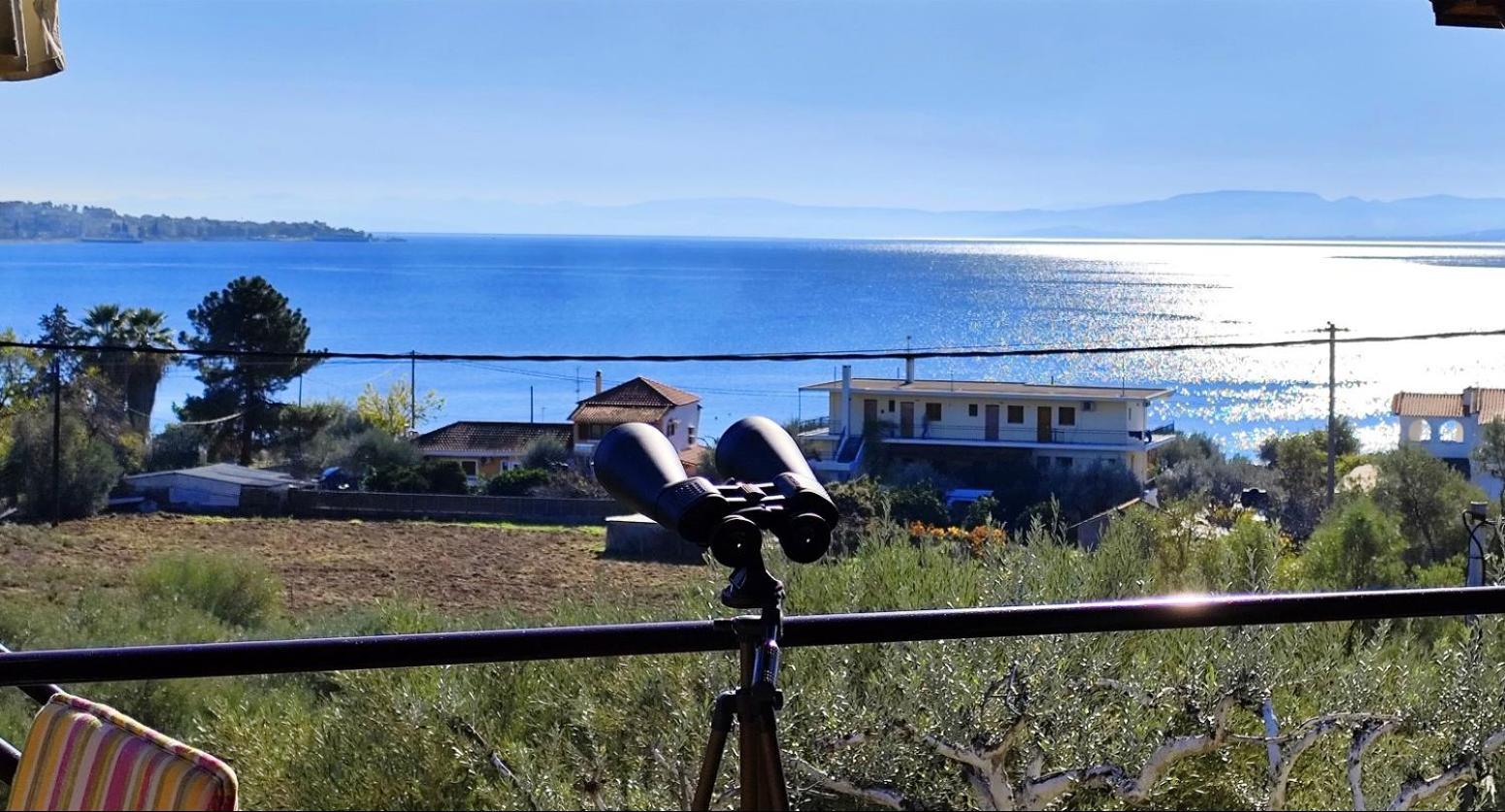 Cozy House With Amazing View! Apartmán